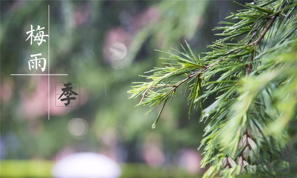 雨季到来，涂料施工需注意哪些问题